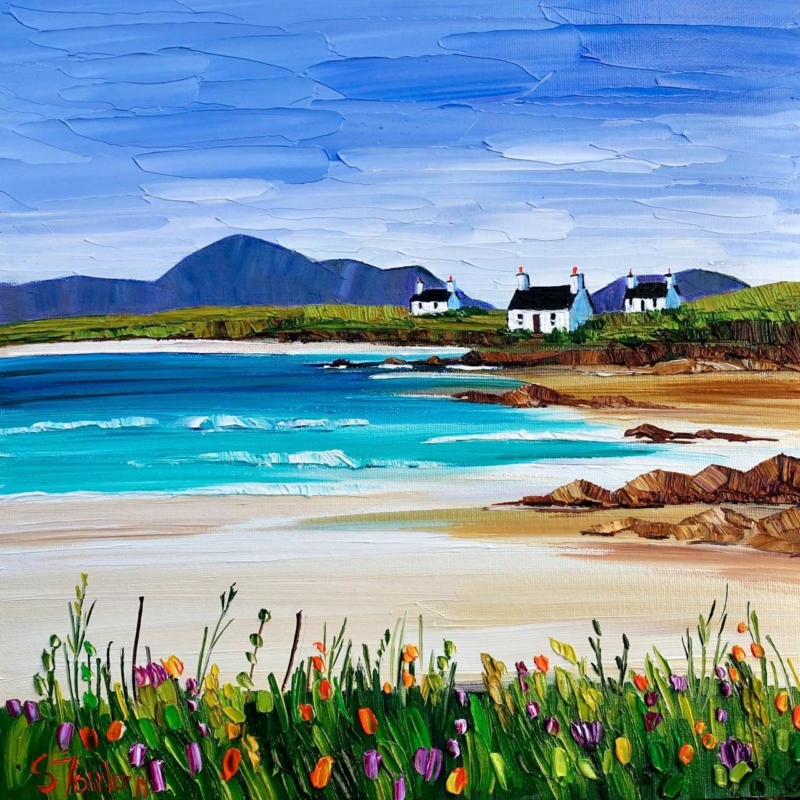 Image of Summer Machair and Cottages, Harris by Sheila Fowler